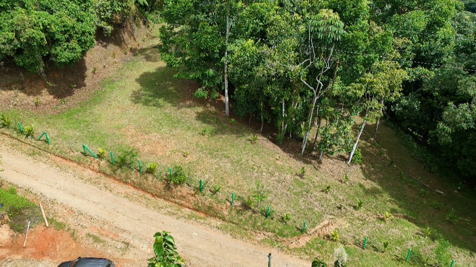 SE VENDE TERRENO CON CATARATA PRIVADA, BOSQUE Y VISTAS A LA MONTAÑA EN