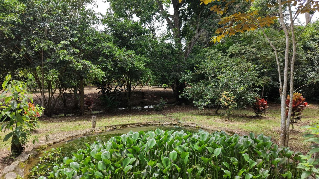 Lote en Venta en Las Juntas de Pacuar, Pérez Zeledón | 3.576 m²