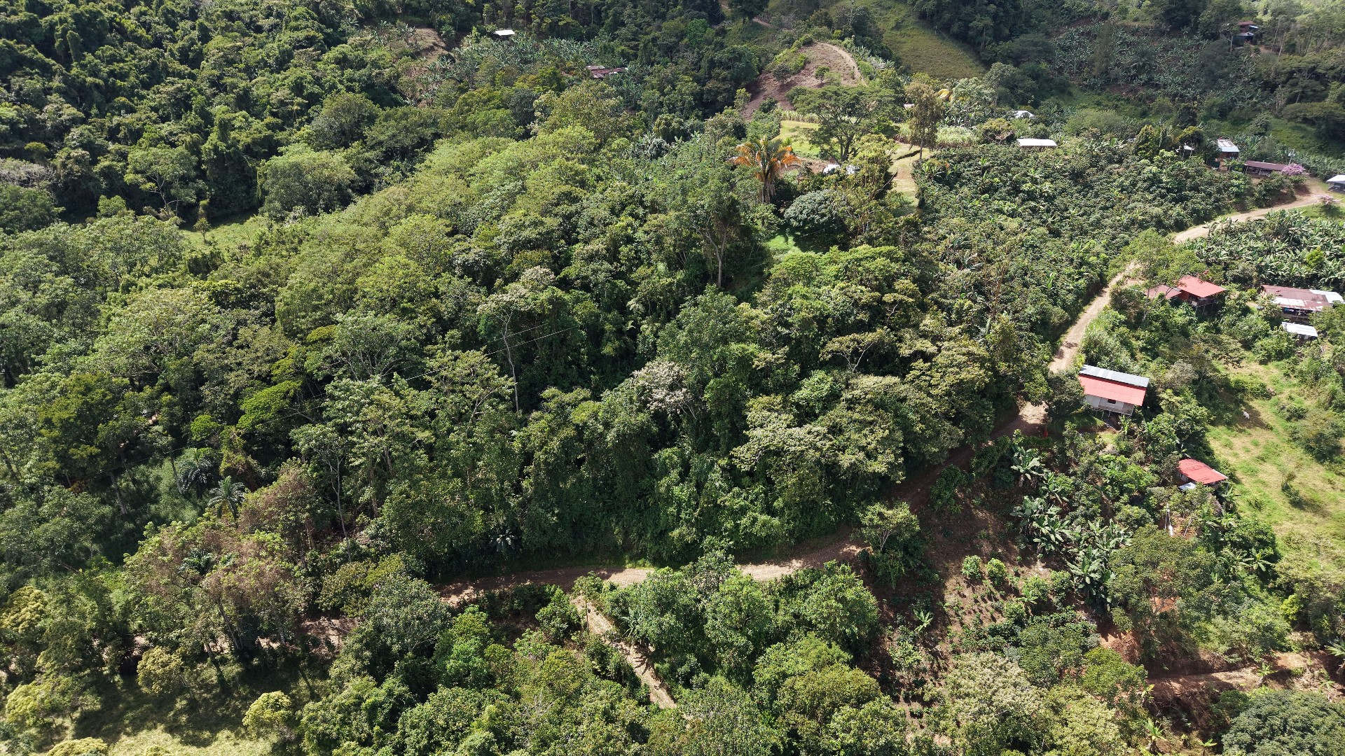 TERRENO LISTO PARA CONSTRUIR CON BOSQUE Y ARROYO CERCA DEL CHIRRIPO
