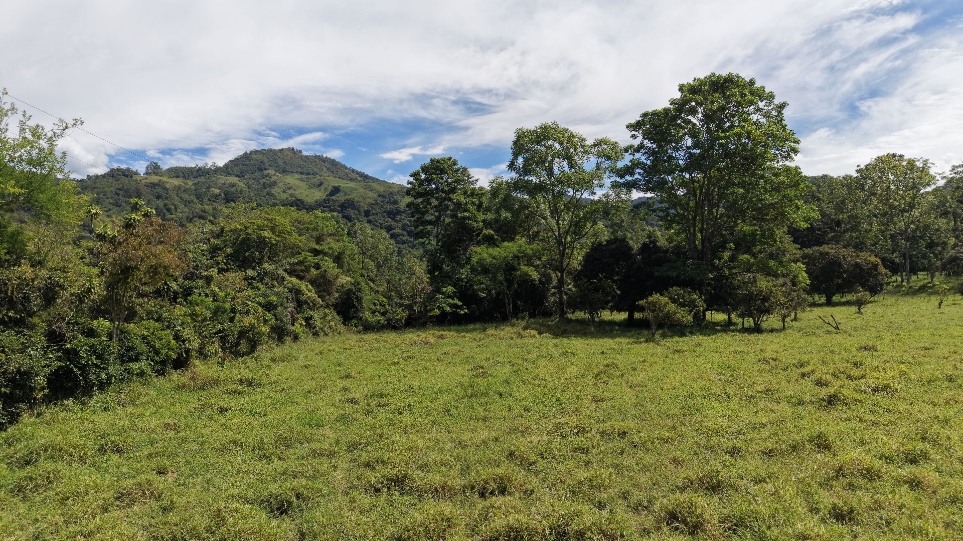 SE VENDE FINCA CON QUEBRADA NATURAL Y FACIL ACCESO EN SAN FRANCISCO DE