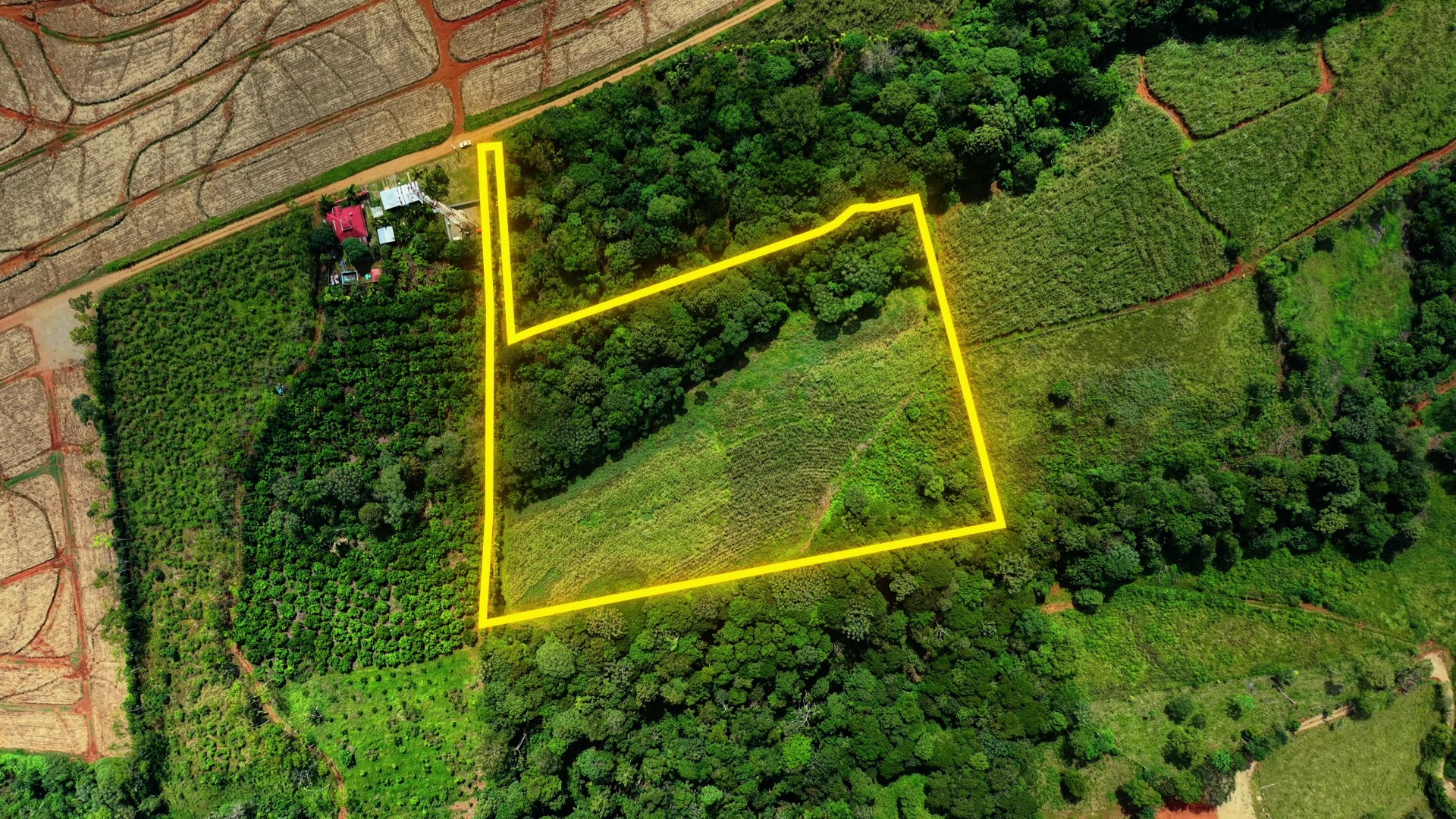 SE VENDE FINCA CON TOPOGRAFIA PLANA Y POTENCIAL AGRICOLA EN PEREZ ZELE