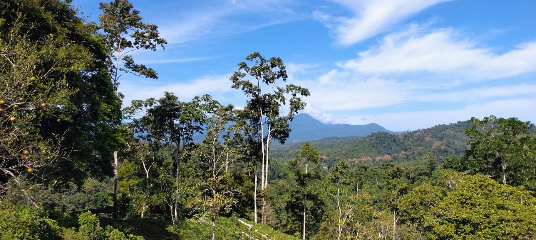 Venta de Finca en Valle la Estrella 