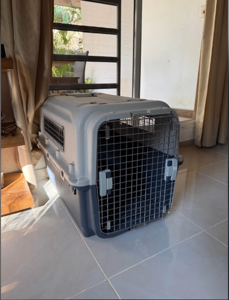 Transportadora Grande para Perros – Cóbano Costa Rica
