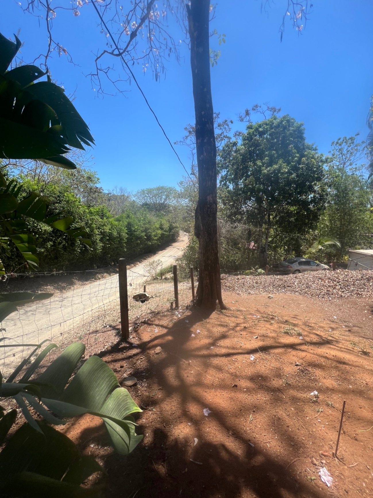 Las Delicias/Montez: Lote 906m² en venta por dueño ¢25.000.000/8618-6327
