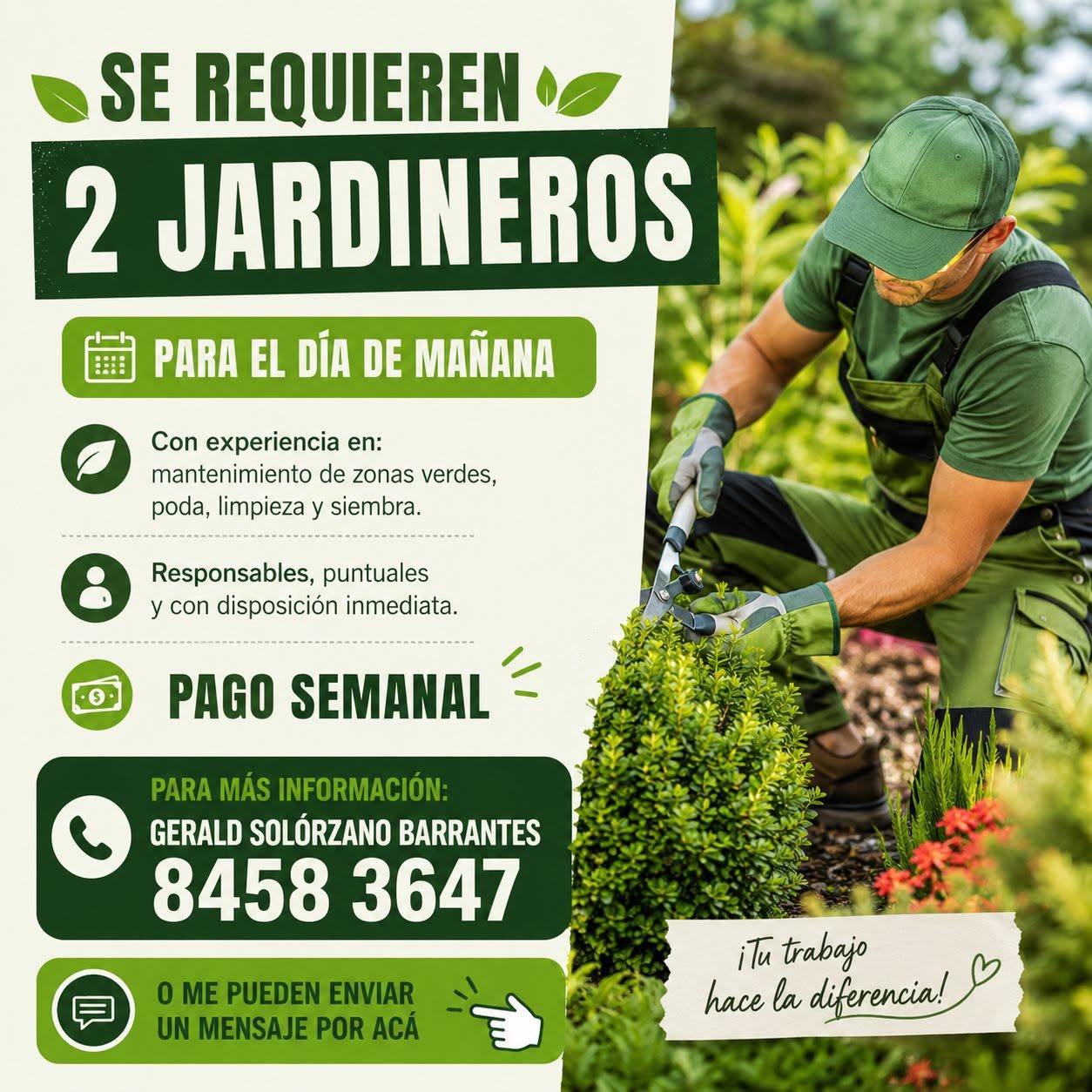 Se buscan 2 jardineros en Cartago – Empleo en jardinería y mantenimien