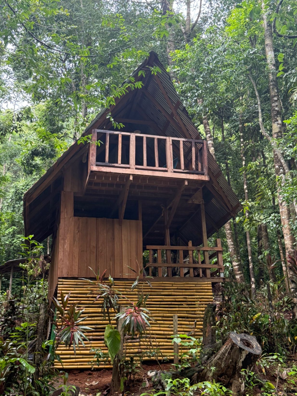Jungle house 80m from water