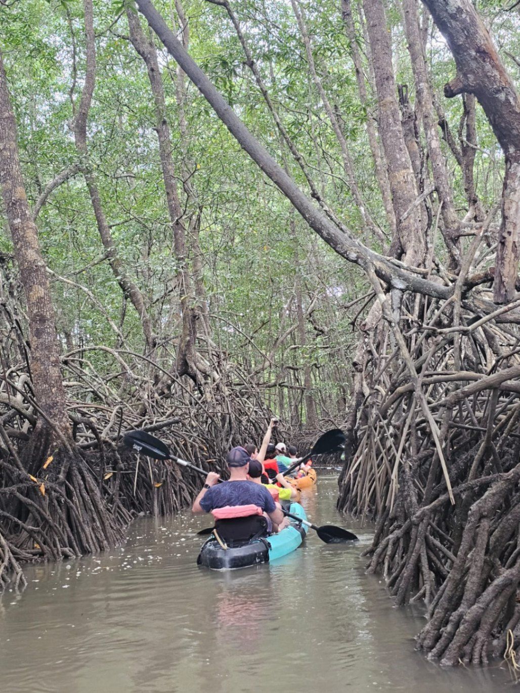 KAYAK EN MANGLAR