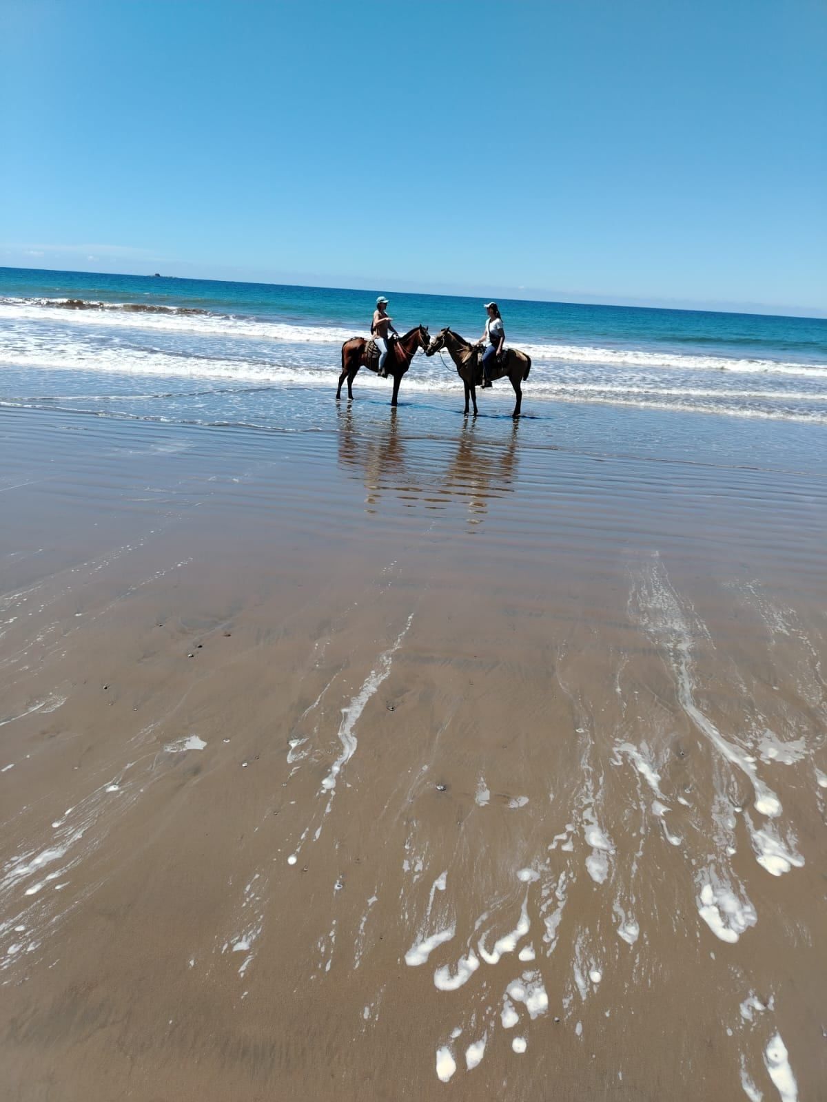 PASEO A CABALLO COMBINADO SELVA Y PLAYA