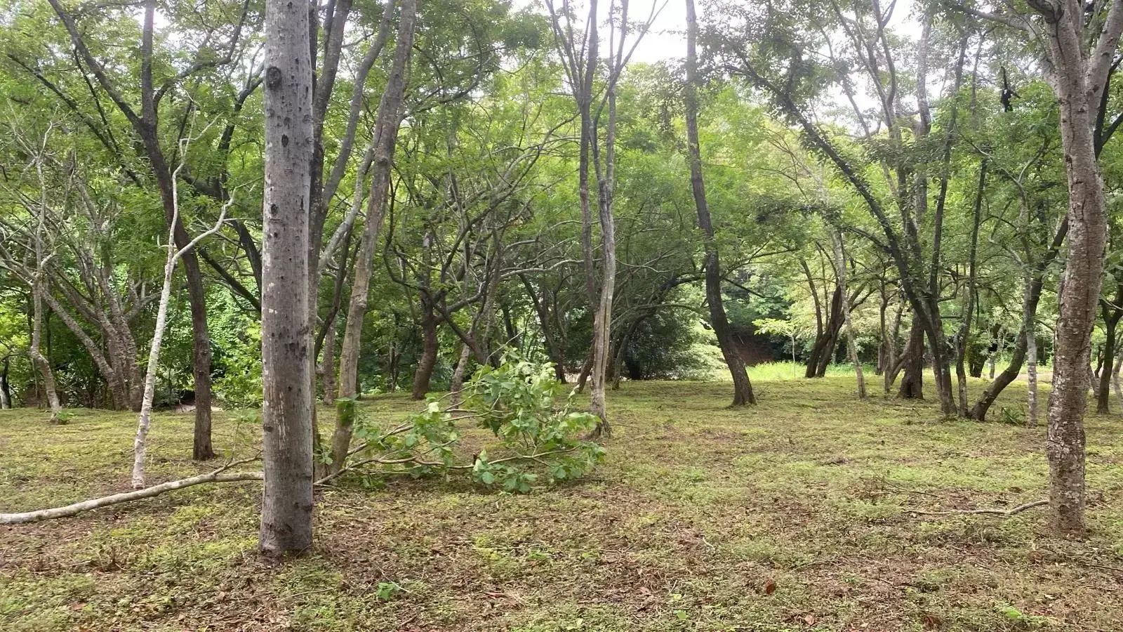 EXCLUSIVA - Amplio terreno de 6,332 m² con pozo privado