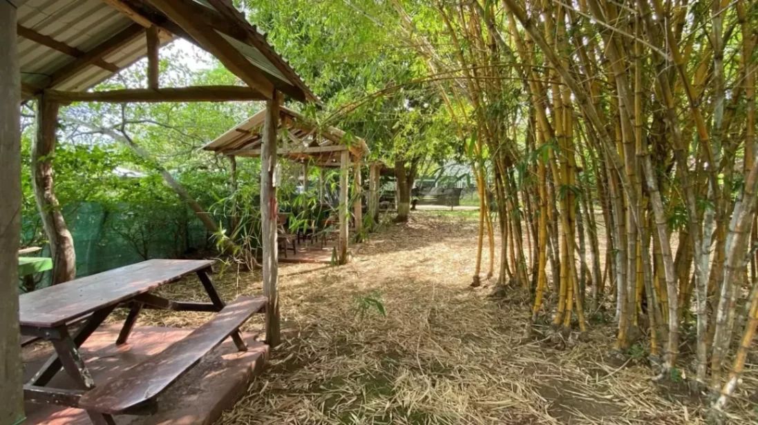 Lote de 607 m² en Salinitas, Playa Grande con pozo privado