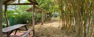 Lote de 607 m² en Salinitas, Playa Grande con pozo privado