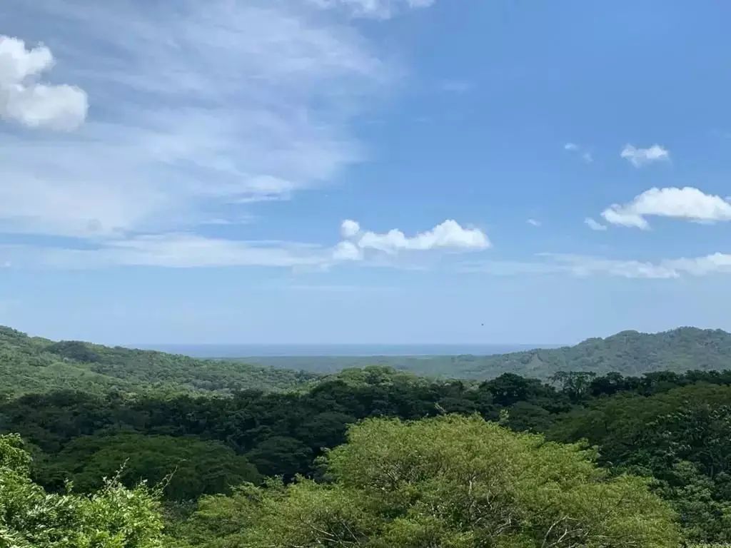 EXCLUSIVIDAD | Finca de 13 hectáreas a solo 15 minutos de Tamarindo
