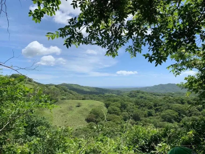 EXCLUSIVIDAD | Finca de 13 hectáreas a solo 15 minutos de Tamarindo