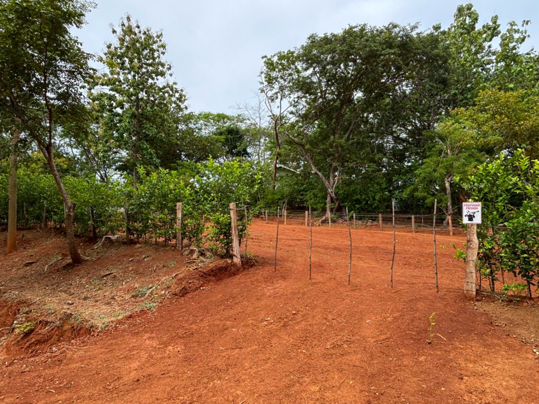 Lote Premium Listo para Construir en Pinilla