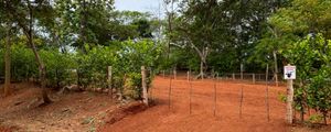 Lote Premium Listo para Construir en Pinilla