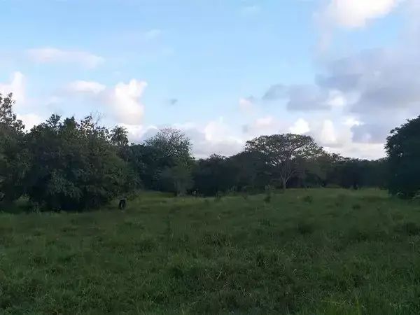 EXCLUSIVIDAD Finca de 14 hectáreas con gran potencial de inversión