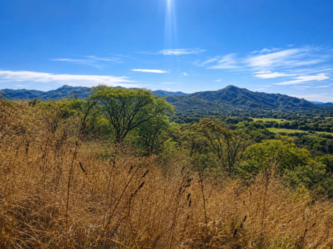 EXCLUSIVIDAD | Finca de 20 hectáreas con vista panorámica en Matapalo