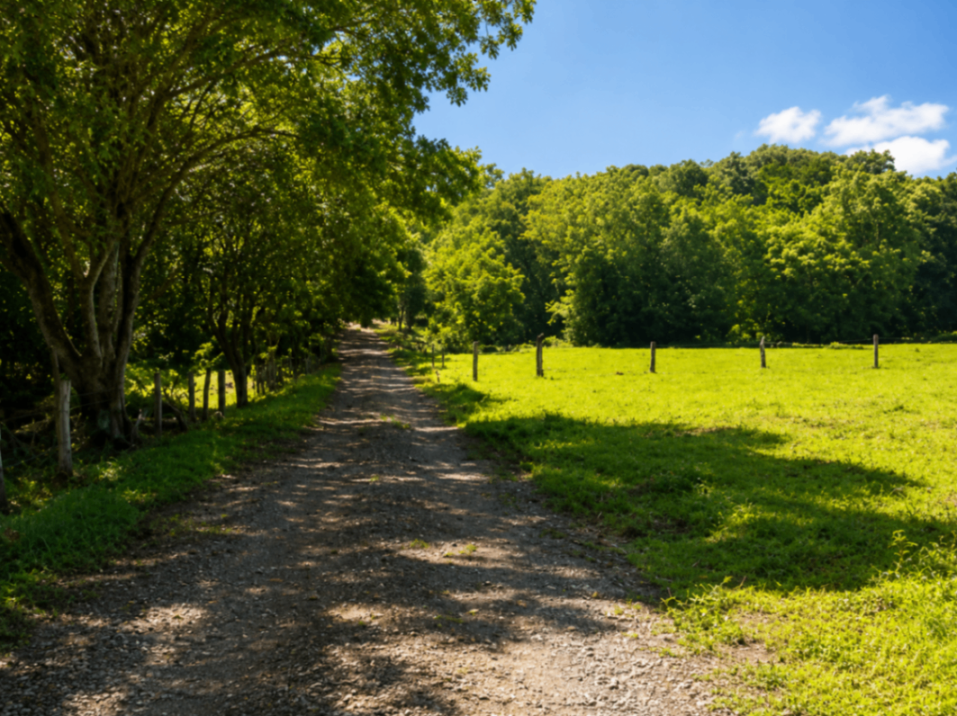 EXCLUSIVIDAD | Finca divisible de 8 hectáreas