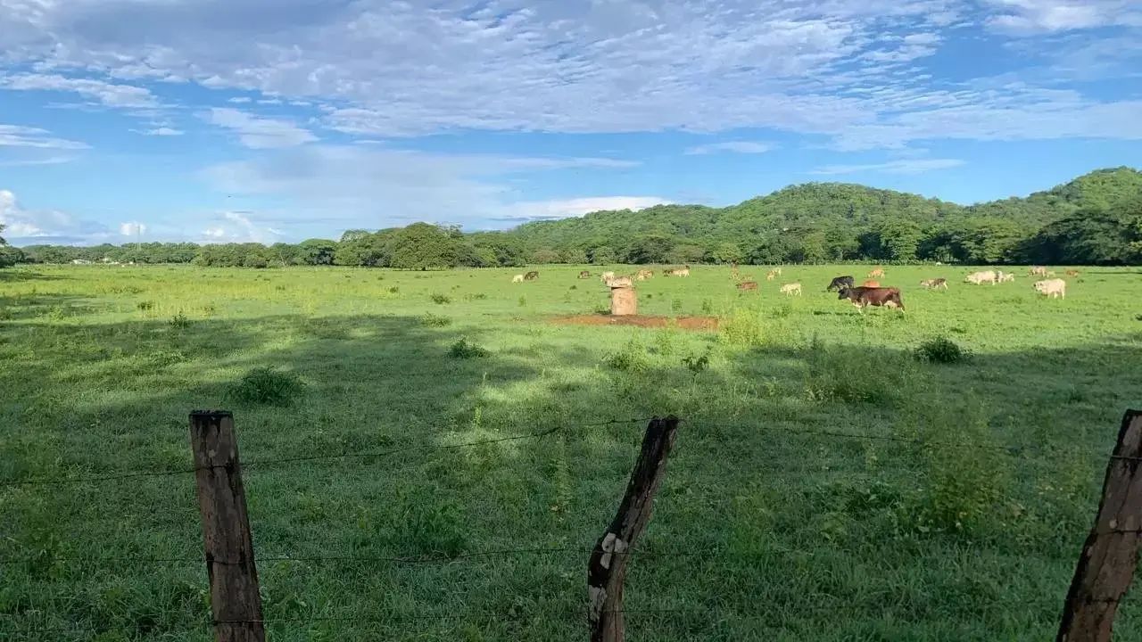 Lote plano de 1,000 m² en La Garita Nueva