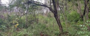 EXCLUSIVIDAD | Lote comercial y residencial en venta entre Huacas y Villarreal – 2.273 m²