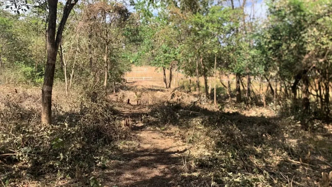 Lote Residencial en Guatemala de Santa Rosa