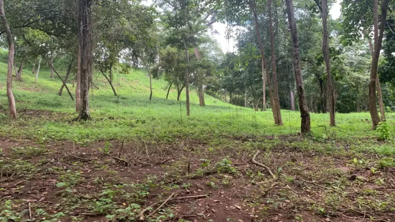 EXCLUSIVIDAD | Lotes en residencial privado cerca de Tamarindo