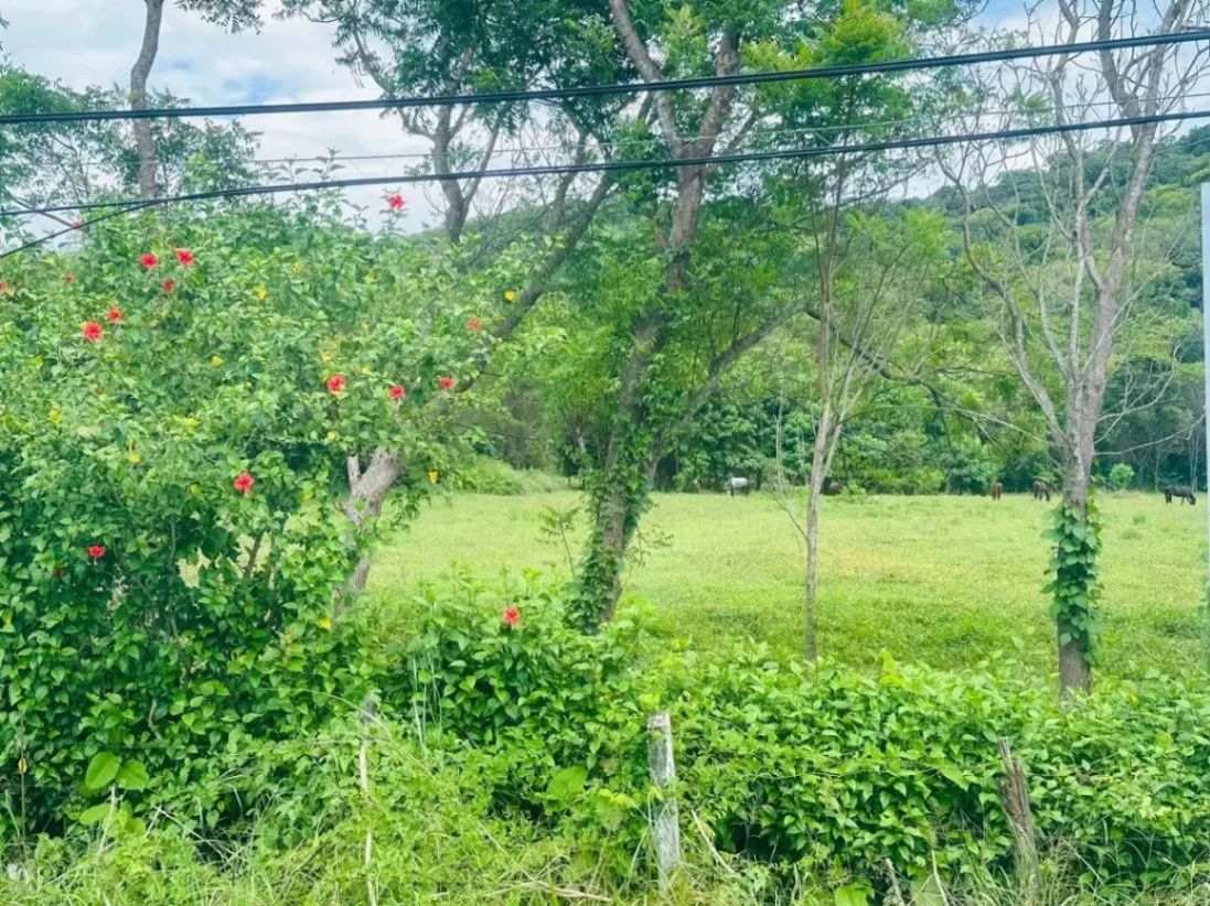 Gran terreno de 2 hectáreas con potencial comercial