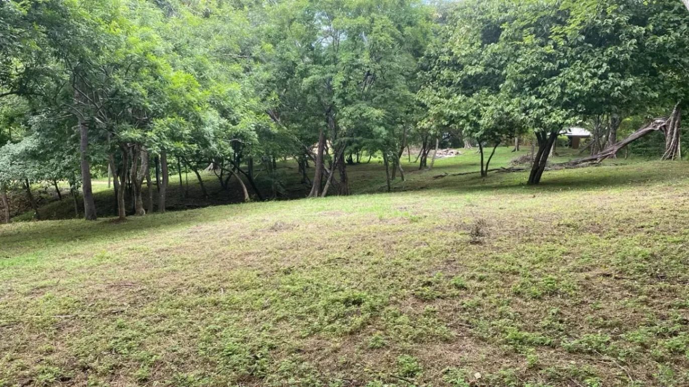 Exclusivo: Lote de 5,000 m² cerca de Tamarindo