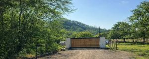 Hermoso lote de 5.001 m² rodeado de naturaleza