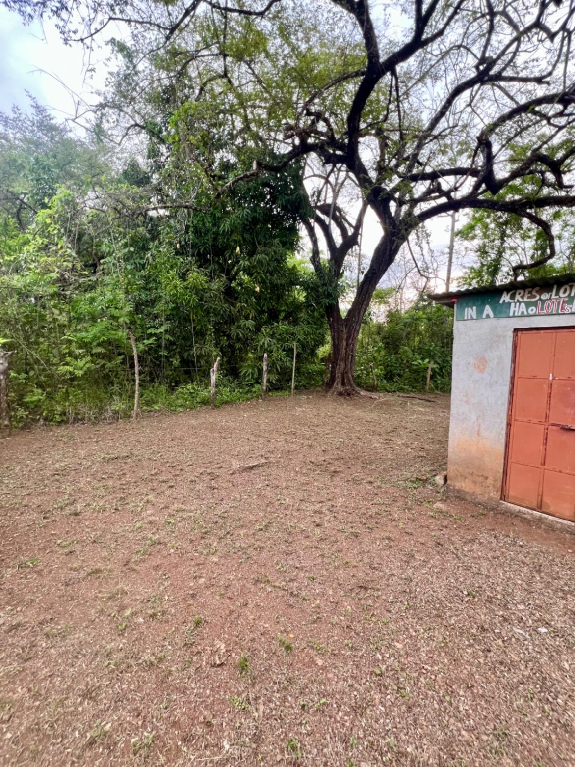 Las Delicias/Cóbano: 227 m² lot with legal well for sale ¢20.000.000