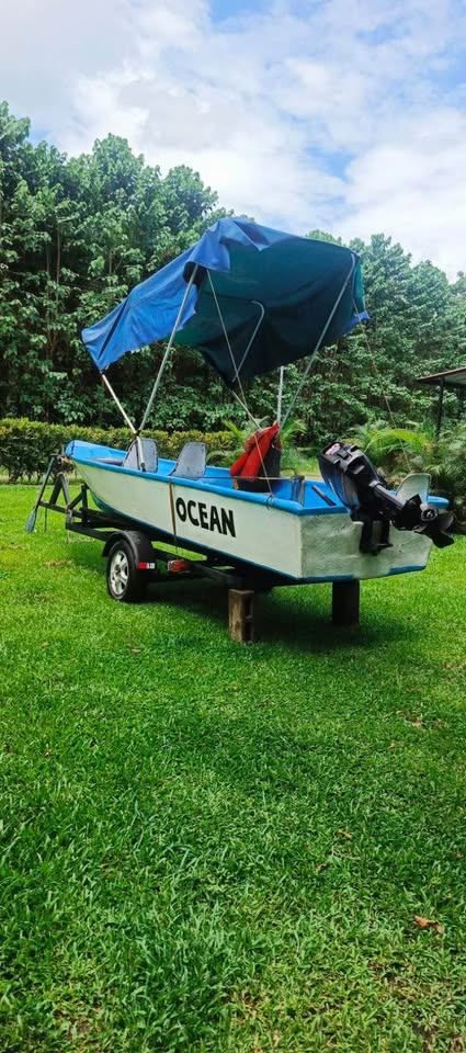 Lancha con motor Suzuki 30 HP en venta – Incluye carreta